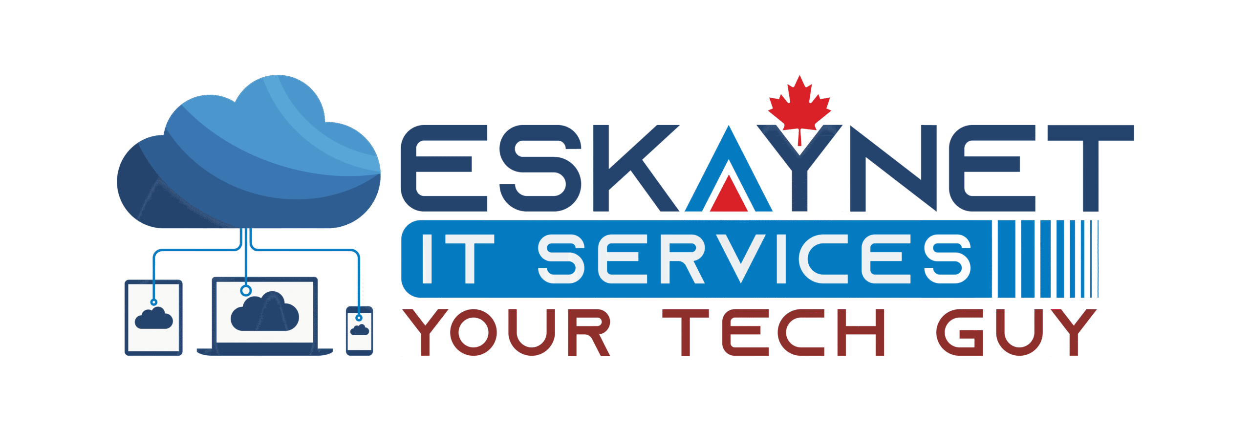 ESKAYNET IT SERVICES
